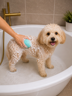 Spazzola Shampoo Silicone per Cani e Gatti Massaggio Bagno Pulizia Pelo