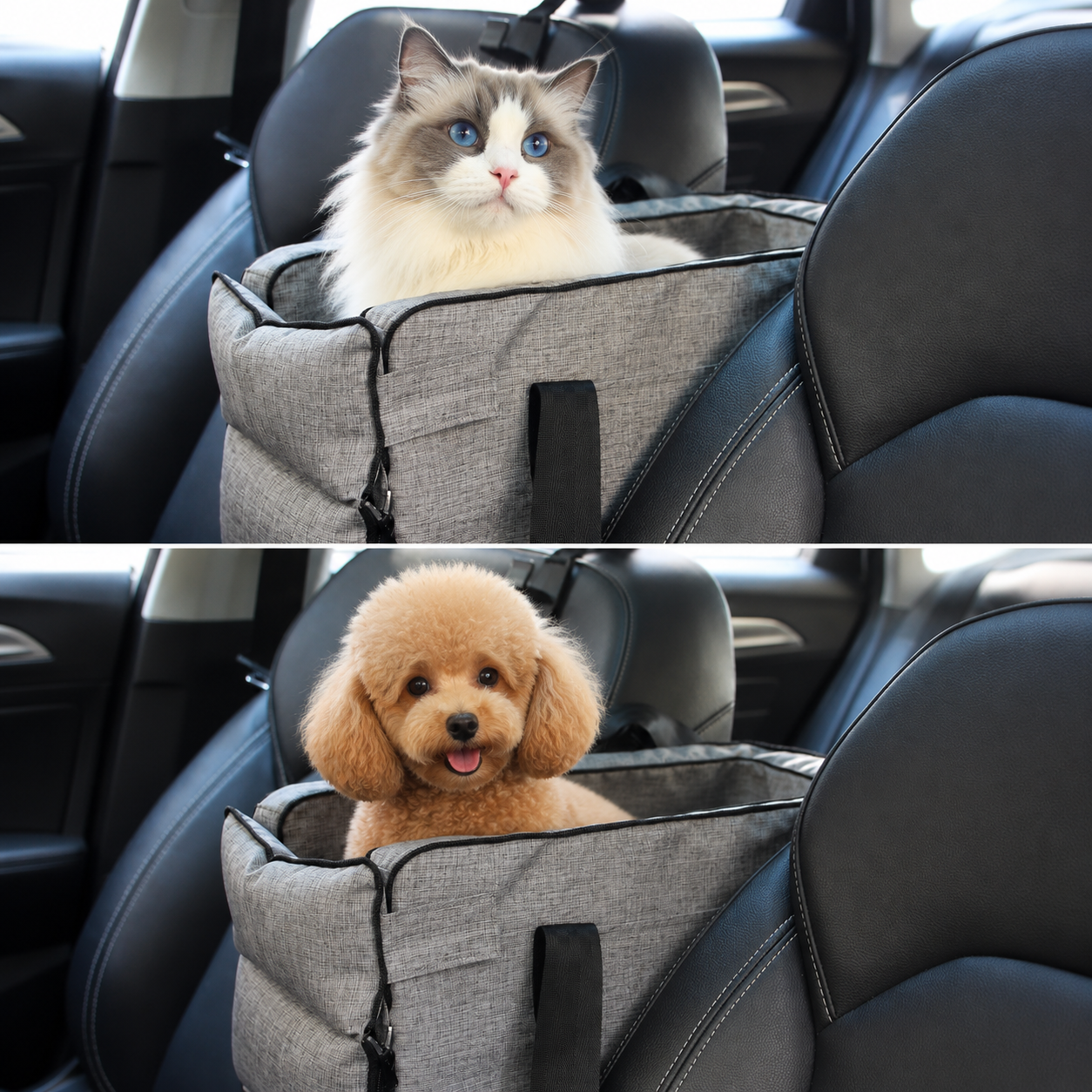 Trasportino Auto Pieghevole per Cani e Gatti Comodo e Sicuro